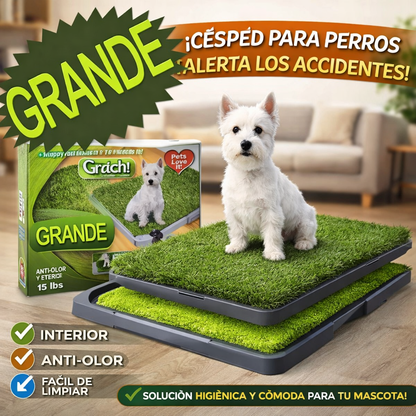Porta Césped Artificial - Woof Woof™